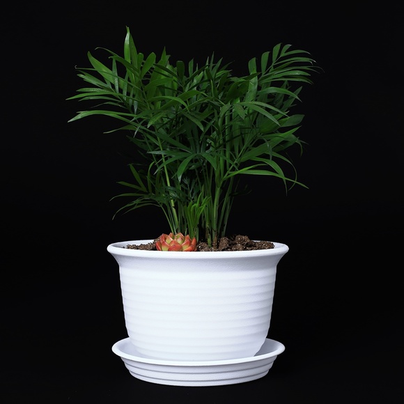 White 6” Plastic Round Drainage Plant Pot Saucer Tray - SET OF 2 - Picture 2 of 9